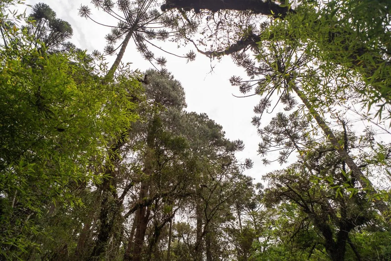 Incrivel Casa Com Cachoeira Em Meio A Natureza Campos do Jordão
