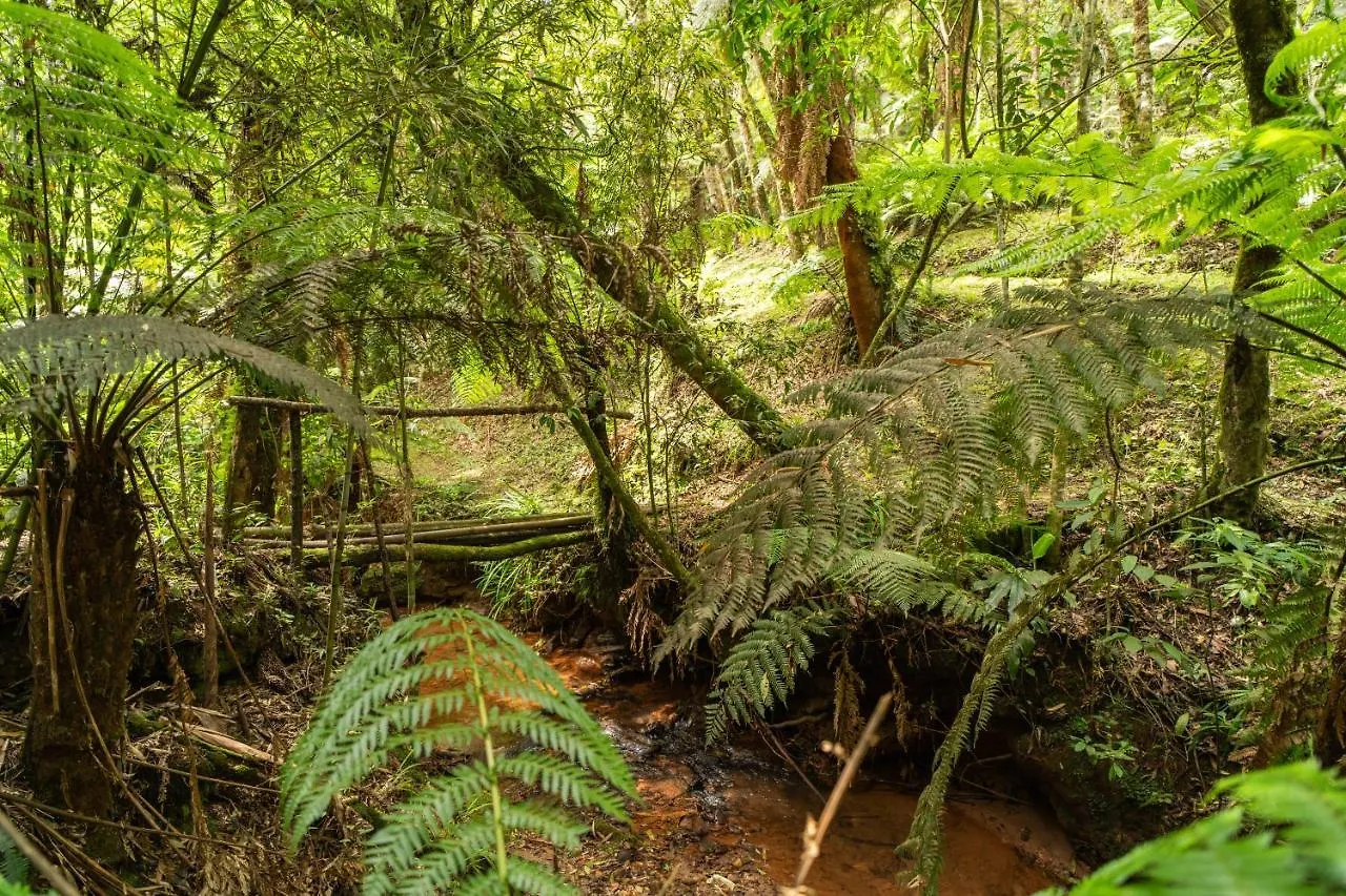 別荘 Incrivel Casa Com Cachoeira Em Meio A Natureza Campos do Jordão
